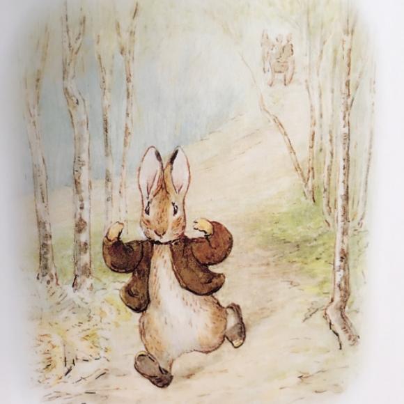 00:00 00:00 159 兔子们的故事真有趣,我爱上了老本杰明兔