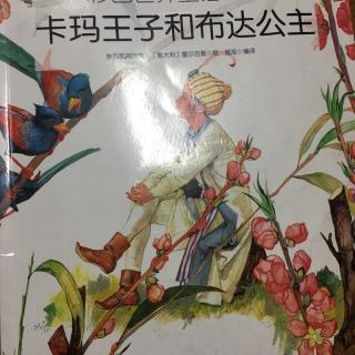 卡玛王子和布达公主1