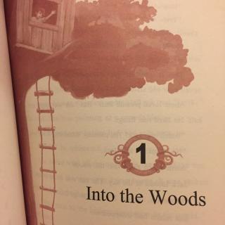 神奇树屋S1-1 Into the Woods