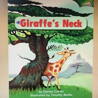 12Giraffe's neck