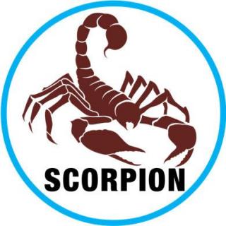 Don’t name your scorpion until you know for sure—哎呦，我被蝎子咬了