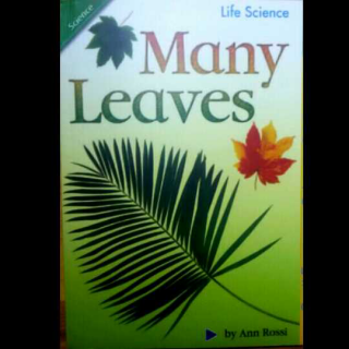 Many Leaves