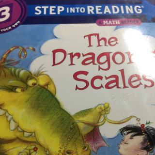 the dragon's scales