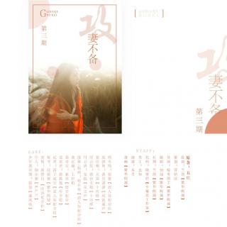 攻妻不备-第三期