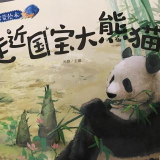 走近国宝大熊猫-科学启蒙绘本