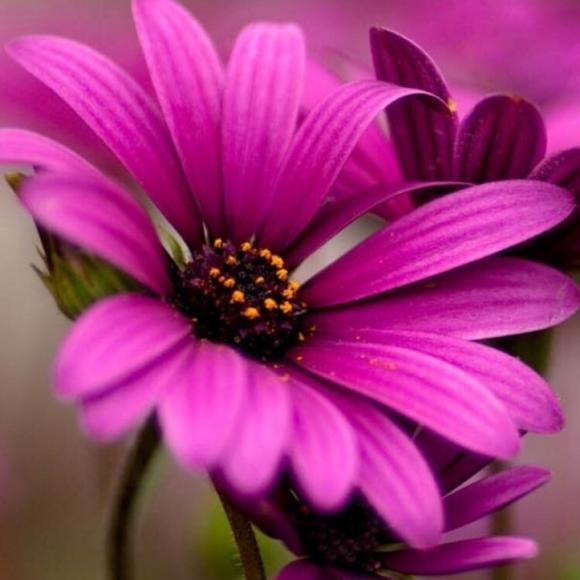 关于校园暴力,父母可以怎么做!