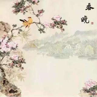 老爸读诗—春晓（Spring Morning）