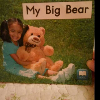 依依妈读海尼曼～my big bear