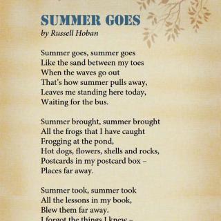 Summer Goes-By Sean