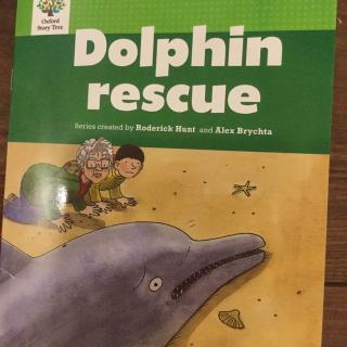 Dolphin rescue（Level 3）