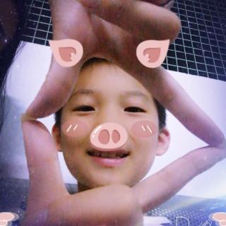 橡树下的猪🐷