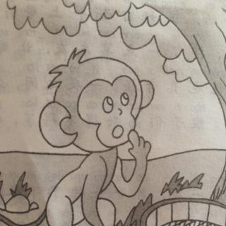 第36期——猴子送的圆筛子