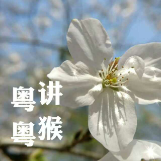 【粤语词语】春天里常见的花