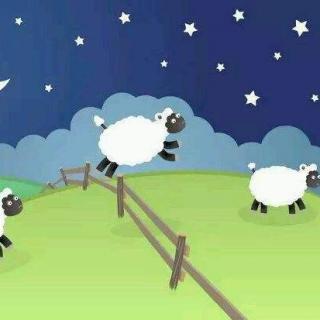 【中年防失眠】只有数羊的频道
