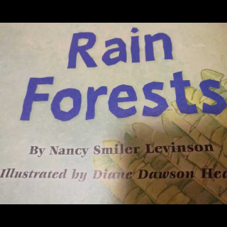 Rain  Forest