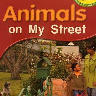 Animals on my street