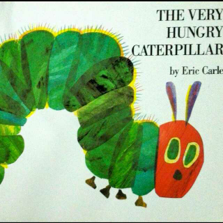 The very Hungry Caterpillar 🐛 