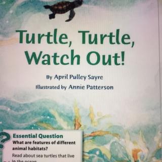 S2Day71-20170409-Turtle，Turtle，Watch out！