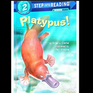 杨杨读Step Into Reading 2：Platypus!