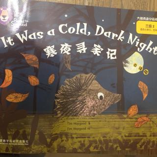 It was a cold dark night 大猫英语三级2