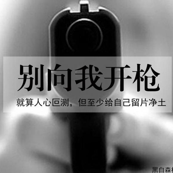 黑白森林:别向我开枪