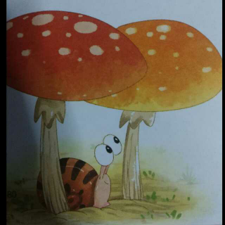 《蘑菇伞🌂》