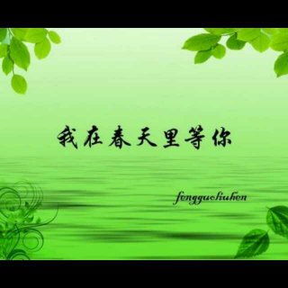 《我在春天等你》 弘梅