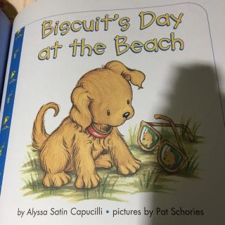 Biscuit's day at the beach
