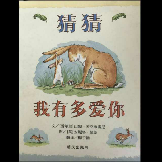 北大灵隆附属幼儿园故事会（八）《猜猜我有多爱你》