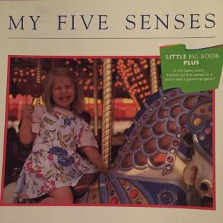 My five senses(一阶)