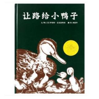 139、让路给小鸭子🦆