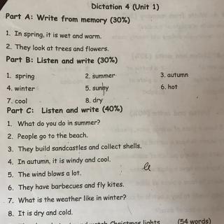 DICTATION4