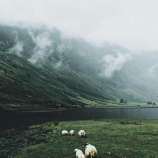 到远方去，熟悉的地方没有风景（二）