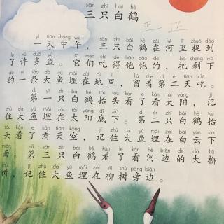 三只白鹤。🌈赵乐融读绘绘本📖❤️。