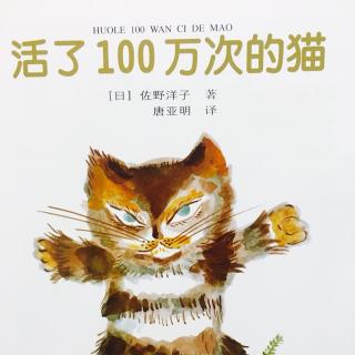 活了100万次的猫