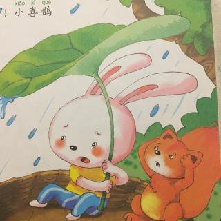 小兔子上树🐰