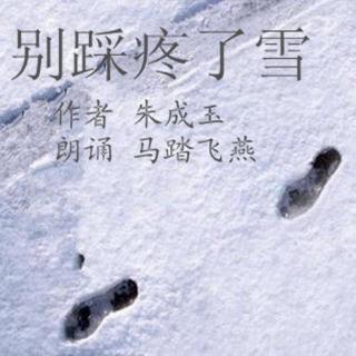 《别踩疼了雪》作者 朱成玉 朗诵 马踏飞燕