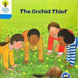 DD 5-2 The orchid thief