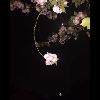 春江花月夜（文/张若虚 朗读/初见）