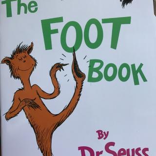 the foot book 1