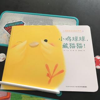 小鸡球球藏猫猫-苗苗老师和谦哥