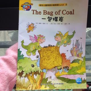 76、A bag of coal