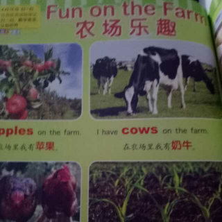 fun on the farm