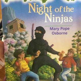 Night of the ninjas-6