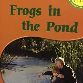 Frogs in the pond