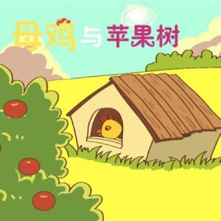 中一班韩涵－《母鸡和苹果树》