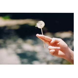 所有父母必须面对的现实：你的孩子必将平凡