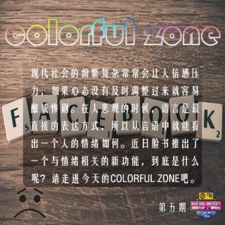 colorful zone---005