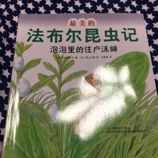 法布尔昆虫记～沫蝉