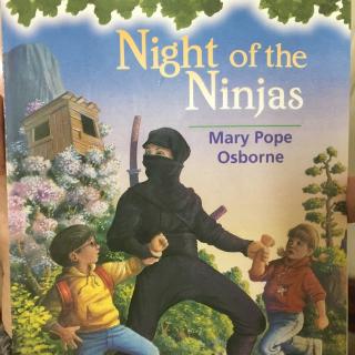 night of the ninjas-9